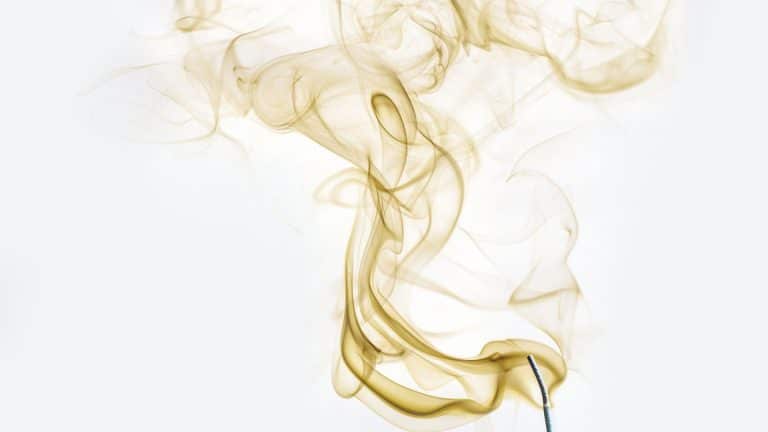 Créer une Ambiance Olfactive Captivante pour Votre Marque : L’Art du Parfum